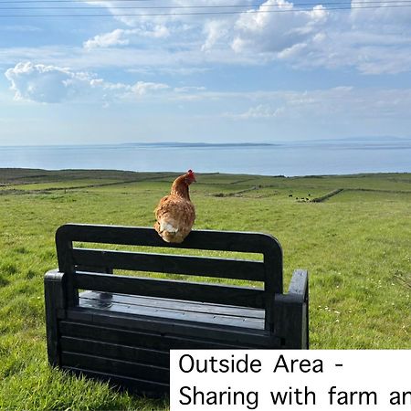 Ocean View Guestrooms Doolin Dış mekan fotoğraf