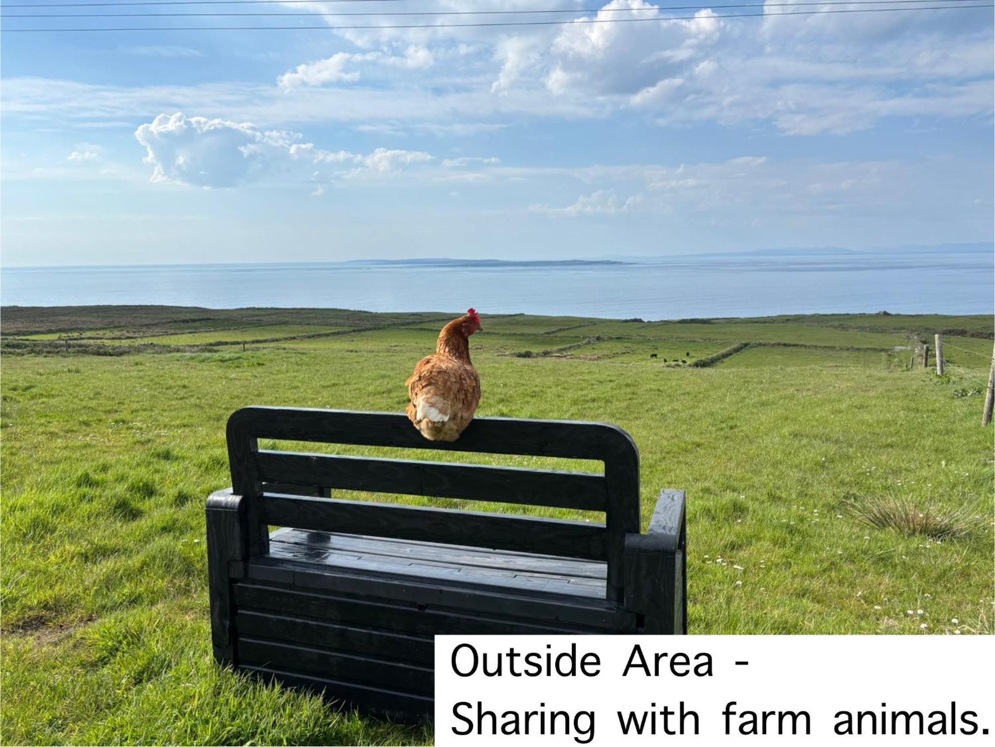 Ocean View Guestrooms Doolin Dış mekan fotoğraf
